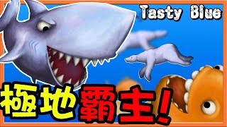 【巧克力】『Tasty Blue：美味海洋』 － 極地霸主！吃光北極熊！ [upl. by Akselaw]