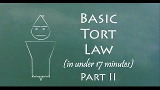 Understand Tort Law in 17 Minutes Part II [upl. by Revlis]