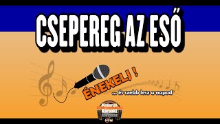 🎵🎹 Csepereg Az Eső INSTRUMENTDalszöveg videóval CharteRrMix [upl. by Glen843]