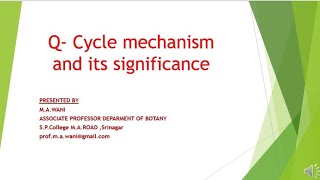 Q Cycle mechanism and significance [upl. by Dahlstrom]