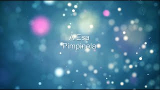 A esa  Pimpinela karaoke [upl. by Charteris]