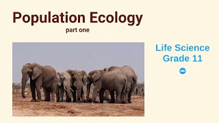 Population Ecology  Life science grade 11  Factors that affect population size [upl. by Draude]