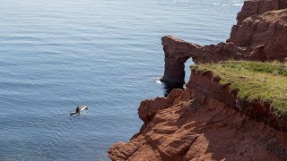 Sea Kayaking les Îles de la Madeleine Québec  Paddle Tales [upl. by Gustin]