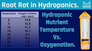 E10  Temperature and Oxygenation in Hydroponics  हाइड्रोपोनिक्स में तापमान और ऑक्सीकरण। [upl. by Eerahc]