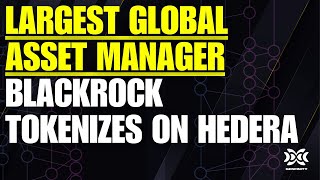 💥BREAKING Blackrock Hedera Tokenization  Largest Global Asset Manager Leveraging HBAR Network💥 [upl. by Winson111]