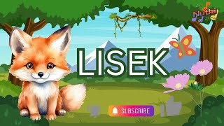 PIOSENBKI DLA DZIECILISEK🦊 [upl. by Adai]