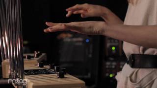 Introducing the Moog Polyphonic Theremin [upl. by Lati]