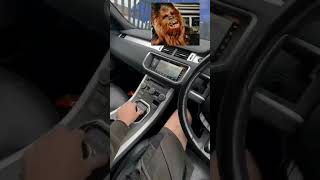 Chewbacca sound chewbaccastarwars automobile mechaniclifehumor [upl. by Rog]