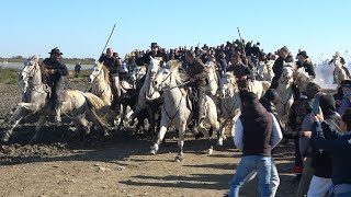 STESMARIES DE LA MERAbrivados des Plages11112024 [upl. by Enrahs]