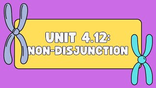 Unit 412 Changes in Chromosome Number [upl. by Tade930]