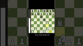 Englund gambit trap  Chess Tips and Tricks [upl. by Llennor]