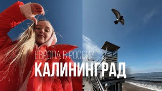 ВлогКалининградСтоит ли ехать Что посмотреть [upl. by Cathrine]