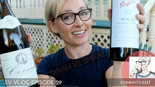 SYRAH VS SHIRAZ  WHATS THE DIFF SV VLOG Ep29 [upl. by Ettelocin837]