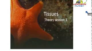 Class 9 Biology Tissues chapter notes session 3 [upl. by Alyakcim280]