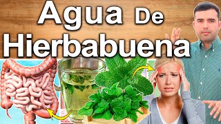 Agua De Hierbabuena ¿Para Qué Sirve  Beneficios De La Hierba Buena O Yerba Buena [upl. by Yrtua]