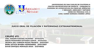 Juicio Oral de Filiación y Paternidad Extramatrimonial [upl. by Huckaby]