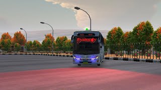 Red Synergy Livery Bus Simulator Indonesia [upl. by Palm]