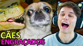 MORRI DE RIR  OS CACHORROS MAIS ENGRAÇADOS DA INTERNET [upl. by Dnalel]