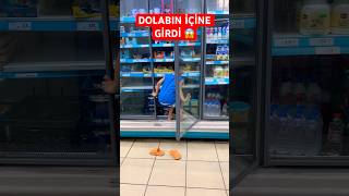 Dolabın içine girdi 😱😱 shorst keşfet [upl. by Accebar728]