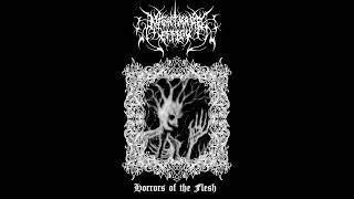 Nightmare Effigy  Horrors of the Flesh Full Demo [upl. by Scharaga]