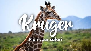 KRUGER NATIONAL PARK SOUTH AFRICA 2024  How To Plan A SelfDrive Safari In Kruger National Park [upl. by Dayle]