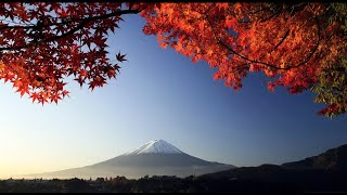 3 HOURS of the Best Traditional Japanese Music  Relaxing Music for Stress Relief and Healing [upl. by Oisangi914]