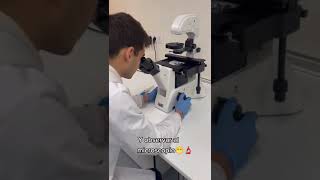 Observación de Espermatozoides en el microscopio [upl. by Ihpen]