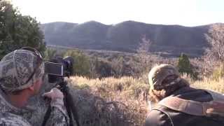 Mule Deer Kill Shot  1335 Yards [upl. by Taggart]