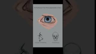 Art tutorial  КАК РИСОВАТЬ ГЛАЗА arttutorial howtodraw туториал какрисовать [upl. by Forras584]