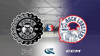 Polar Beers v Rock Lobsters  Div 5  5th December  iceHQ Rec League ice hockey [upl. by Ahsenroc252]