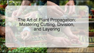 The Art of Plant Propagation Mastering Cutting Division and Layering [upl. by Leruj797]