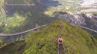 Locals weigh in on Haiku Stairs after more than a dozen hikers arrested [upl. by Willock288]