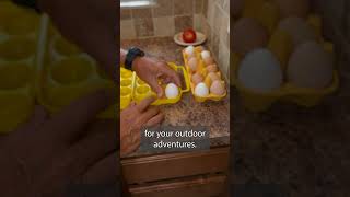 Why NOT Refrigerate Chicken Coop Eggs Right Away [upl. by Kevan]