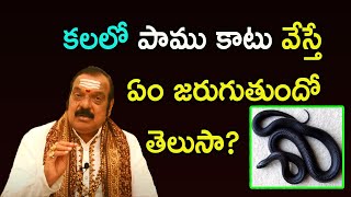 కలలో పాము కాటు వేస్తే ఏం జరుగుతుందో తెలుసా  Snake In Dreams  Dr Machiraju Venugopal [upl. by Yardna]