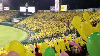 Hanshin Koshien Stadium 932017 Baloon Release Tigers Kobe Japan Baseball [upl. by Etteroma]