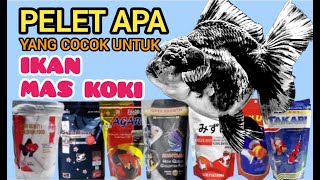 TIPS MEMILIH PELET IKAN MAS KOKI [upl. by Harlow]