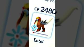 10HP Entei 1 VS 3 clutch in Pokemon Go pokemon pokemongo youtubeshorts [upl. by Feldman]