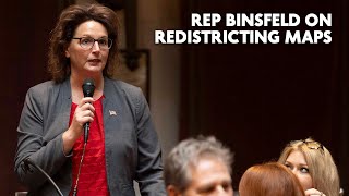 Rep Binsfeld on Redistricting [upl. by Lindemann]