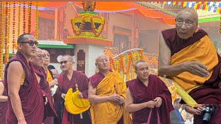 105th Ganden Tri Rinpoche Trithon At Drepung Loseling Tsulkhang Khamtsen🙏 [upl. by Hestia]