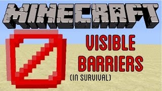 Minecraft Visible Barrier BlocksIn Survival [upl. by Phelps]