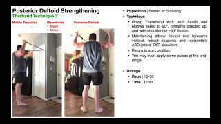 TherEx  Posterior Deltoid Strengthening [upl. by True309]