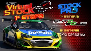 VIRTUAL STOCK GRID PRO  1º ETAPA [upl. by Harri]