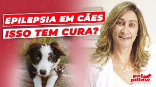 Cachorro com epilepsia saiba o que fazer  Dra Michele Sandrault [upl. by Ardel]