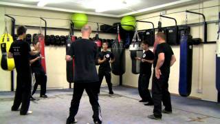 Different Stages Of Learning Wing Chun Fundamental FormMP4 [upl. by Notlrac588]