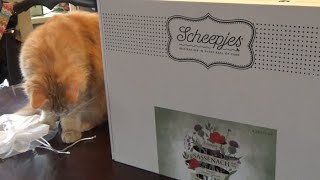 Unboxing Scheepjes Sassenach Kal [upl. by Lesiram112]