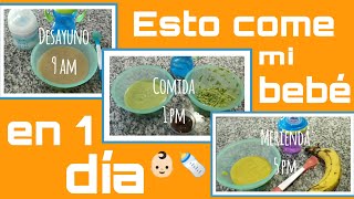 COMIDA PARA BEBES DE 7 meses en 1 día 👶🏻COMIDA PARA BEBÉS [upl. by Norrehs]