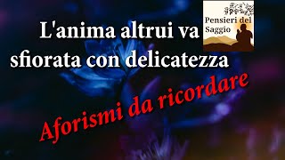 Lanima altrui va sfiorata con delicatezza [upl. by Itraa135]