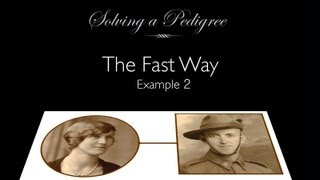 Solving a Pedigree  the Fast Way example 2 [upl. by Saltsman]