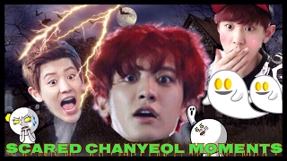 Exo Chanyeol is scared of everything [upl. by Ericha]