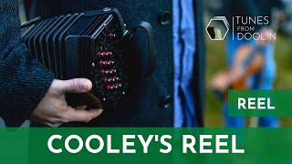 COOLEYS REEL Reel  Irish Music Tunes on Concertina 🎵☘️ [upl. by Auguste391]